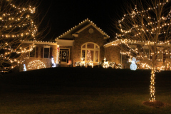 Branches wrapped in white lights, transforming ordinary trees into stunning glowing centerpieces.