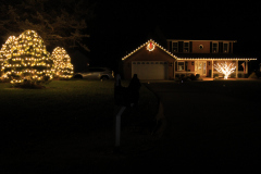 Professional holiday lighting installation with soft white LEDs and greenery for a classic Christmas style.