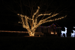 Holiday lighting installation in Carroll County — multi color roofline lights and a wrapped tree to create a magical entrance.