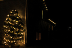 Elegant bush and tree lighting with a soft warm glow to welcome guests all season long.