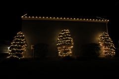 Bushes draped in soft warm lights paired with subtle accent lighting for a timeless holiday display.