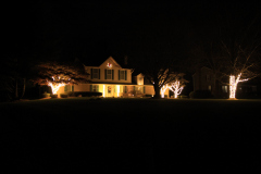 Trees wrapped from with warm white lights to create a glowing focal point in the yard.