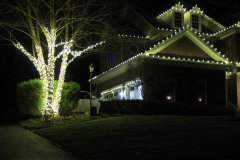 Traditional Holiday Lighting in Warm White