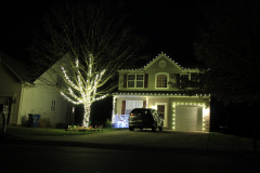 Close-up of warm white LED bulbs used in outdoor holiday lighting