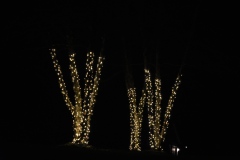 Warm White Tree Wraps – Classic Holiday Elegance