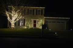 Warm White LED Bulbs – Elegant Glow for the Season
