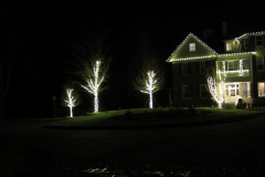 Warm White LED Bulbs – Elegant Glow for the Season
