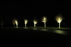 Holiday Tree Lighting in Warm White LEDs