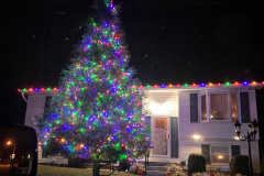 Beautiful Christmas Tree 