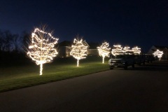 Outside Tree Wraps