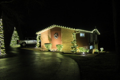 Elegant roofline lighting paired with bushes wrapped in bright white lights for a balanced holiday design.