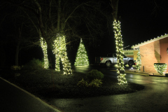 Branches wrapped in white lights, transforming ordinary trees into stunning glowing centerpieces.