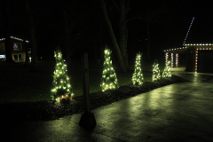 Warm white Christmas lights beautifully wrapped around trees and bushes, creating a soft, elegant holiday glow.
